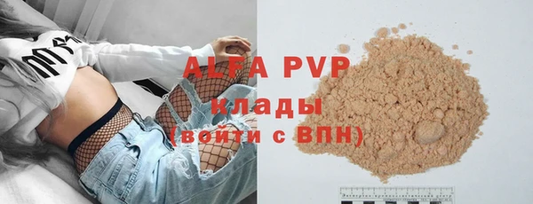 гашик Арсеньев