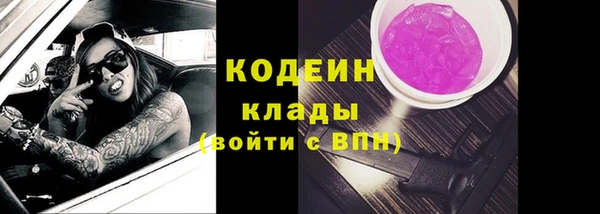 гашик Арсеньев