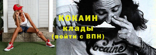 гашик Арсеньев