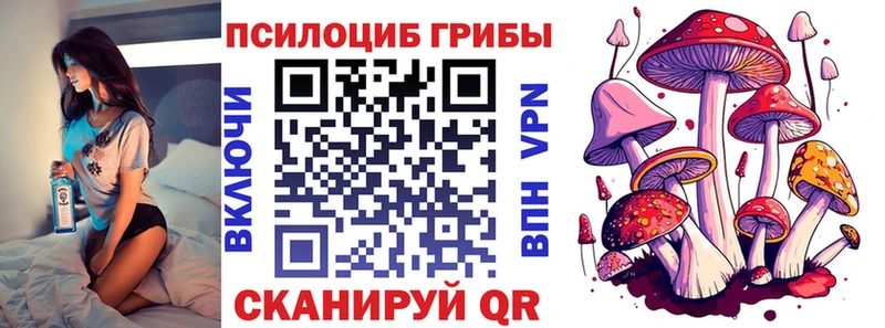 купить закладку  Няндома  Галлюциногенные грибы MAGIC MUSHROOMS 